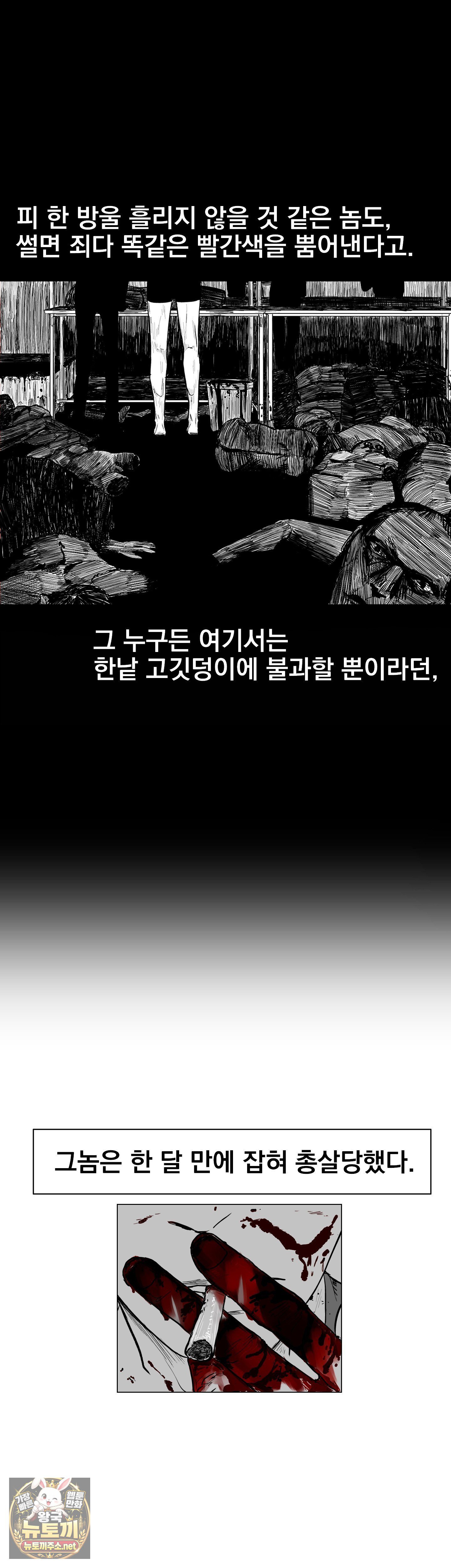 009.jpg