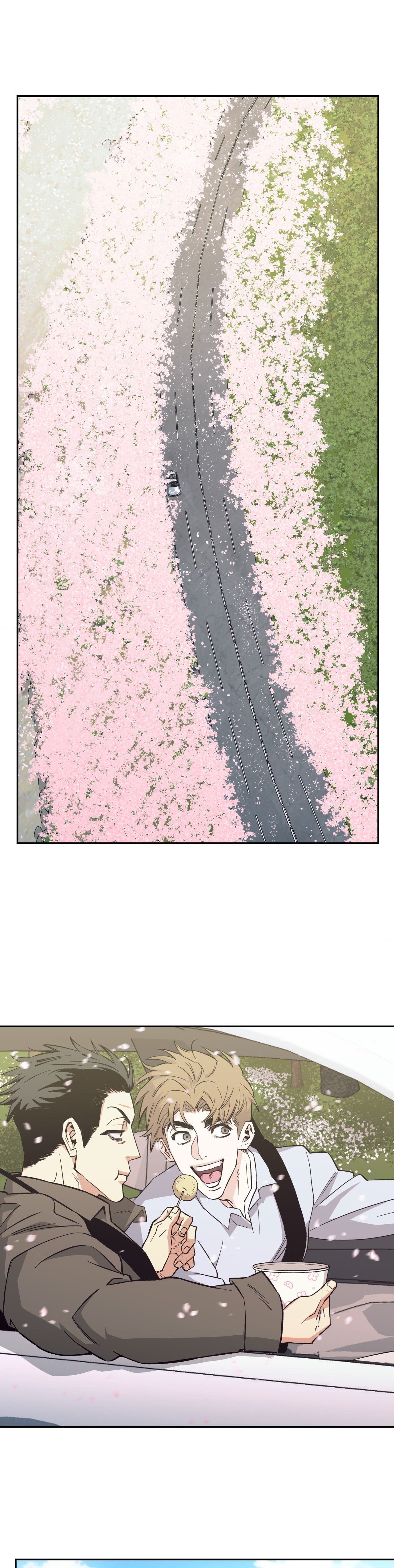 005.jpg