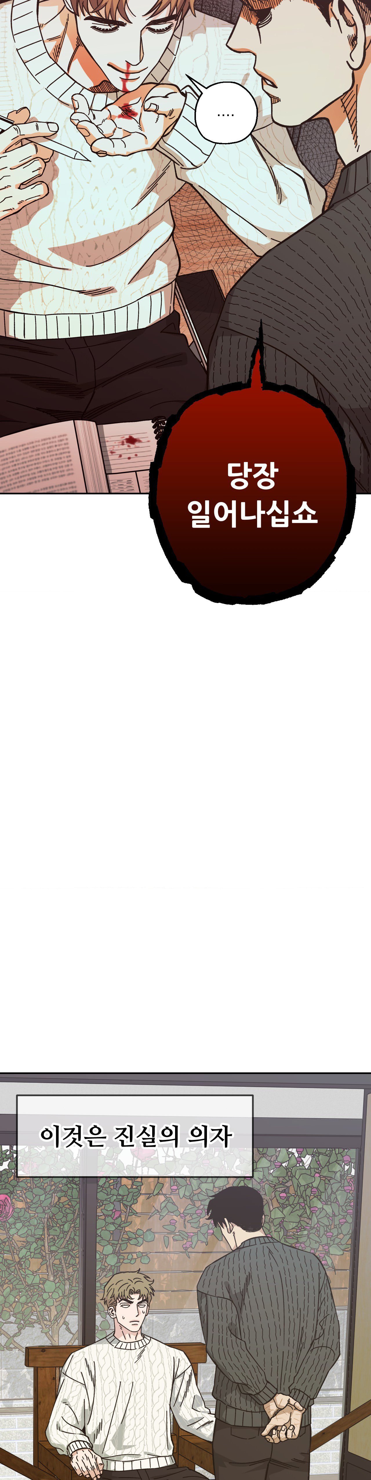 003.jpg