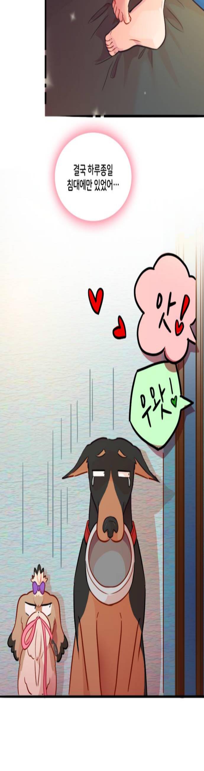 003.jpg