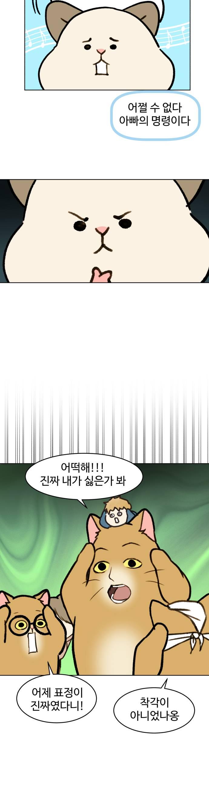 005.jpg