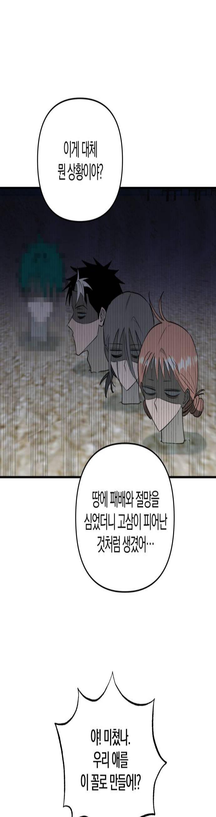 003.jpg