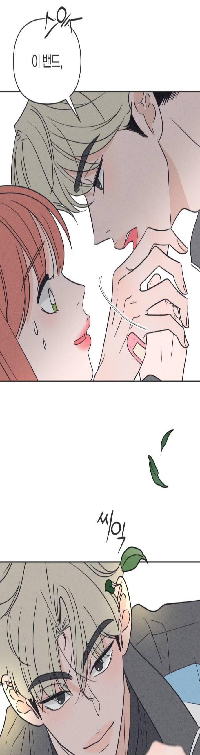 003.jpg