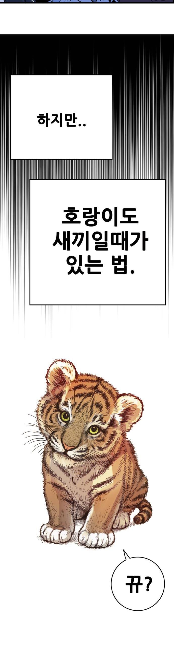 006.jpg