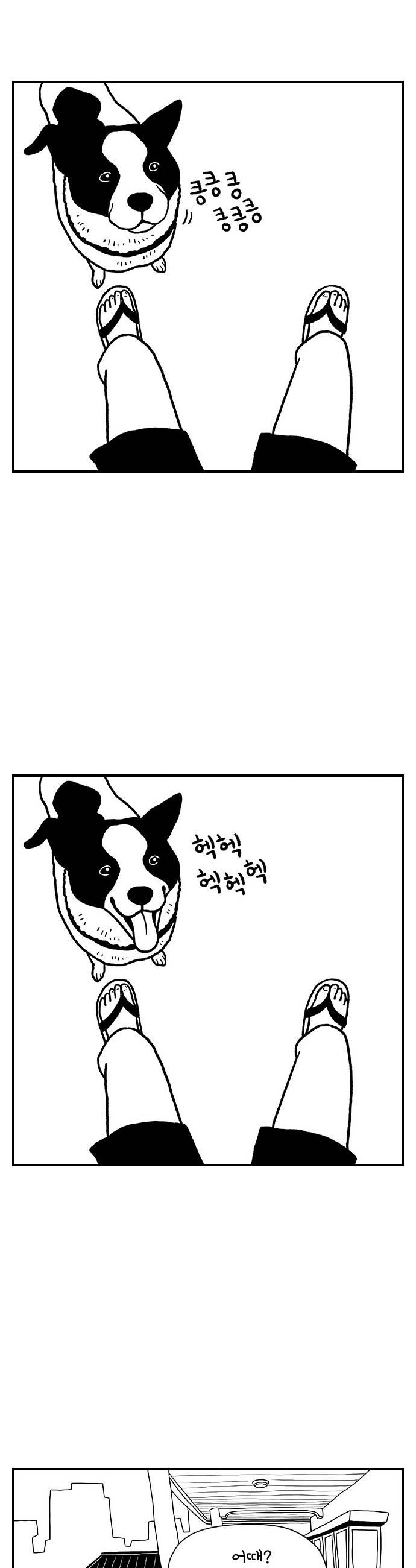 009.jpg