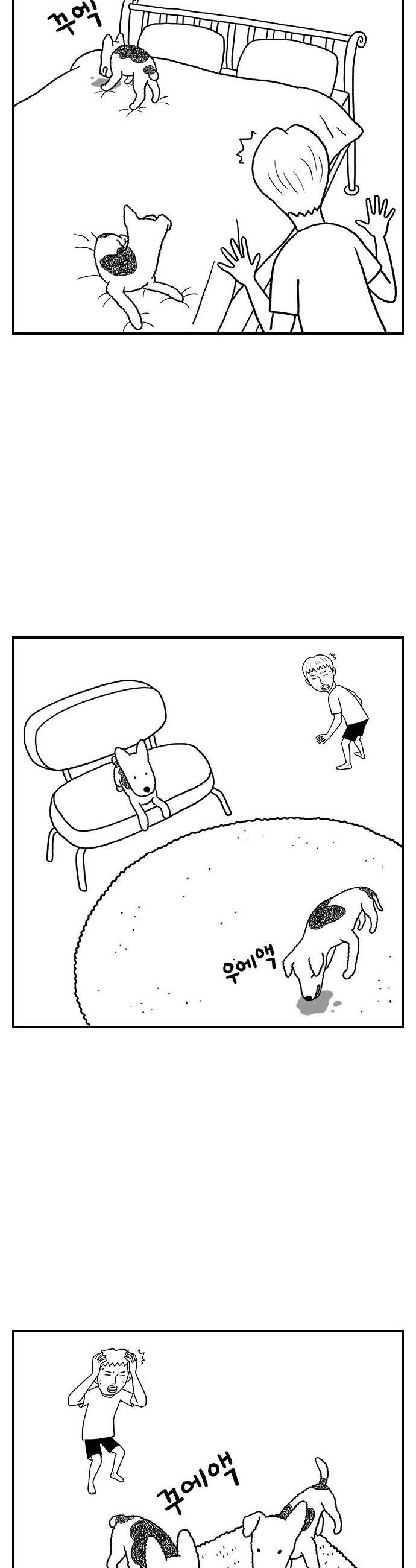 009.jpg