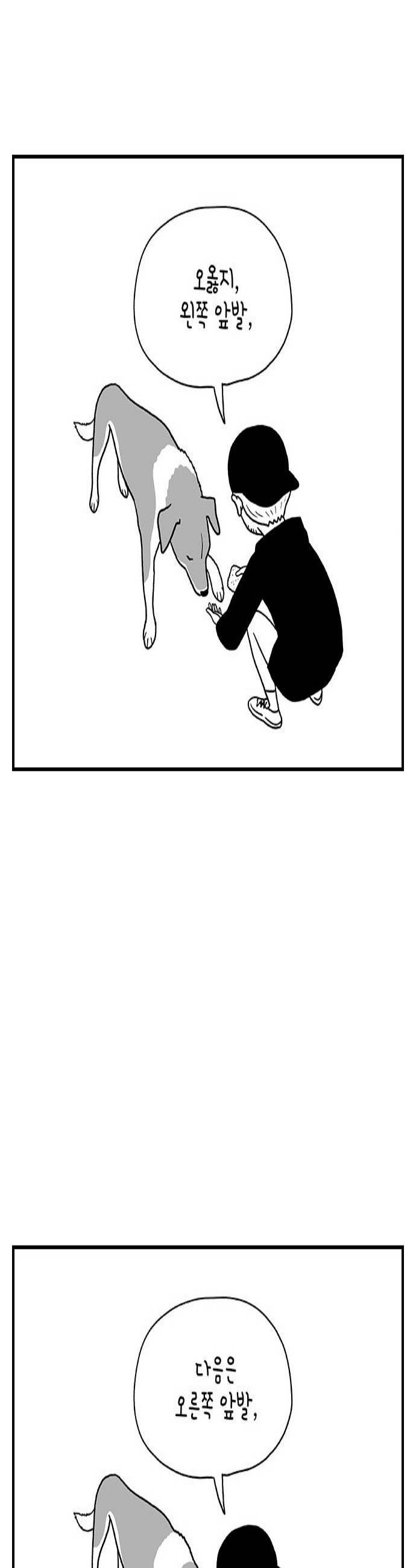 003.jpg