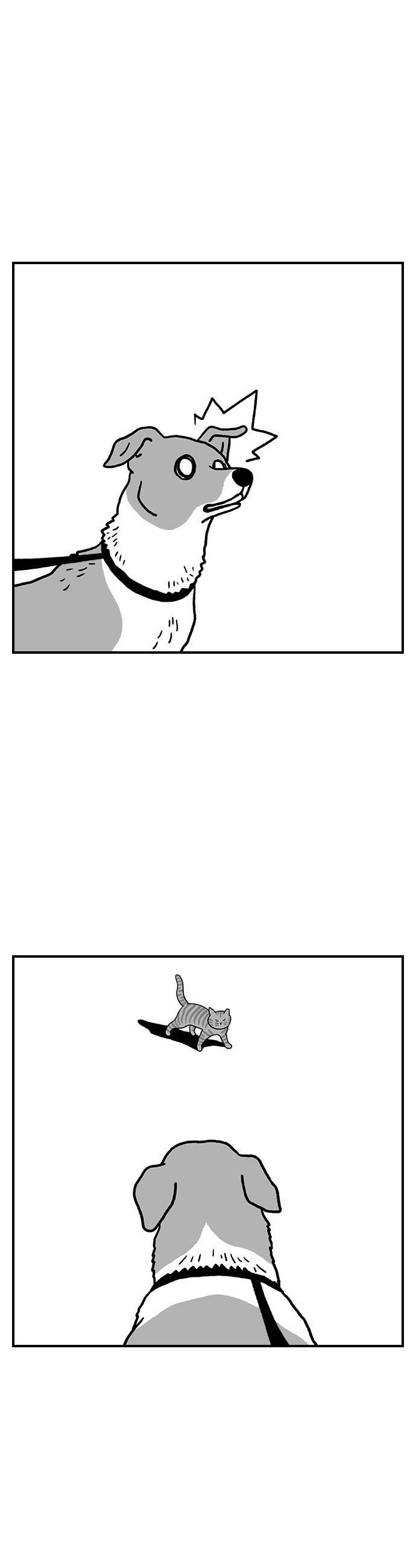 008.jpg