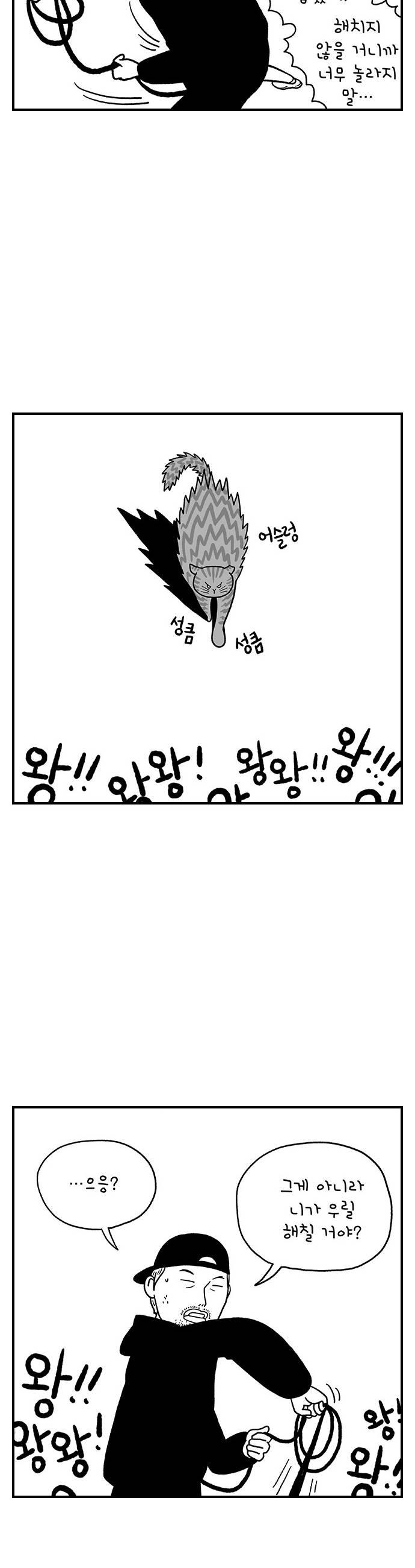 011.jpg