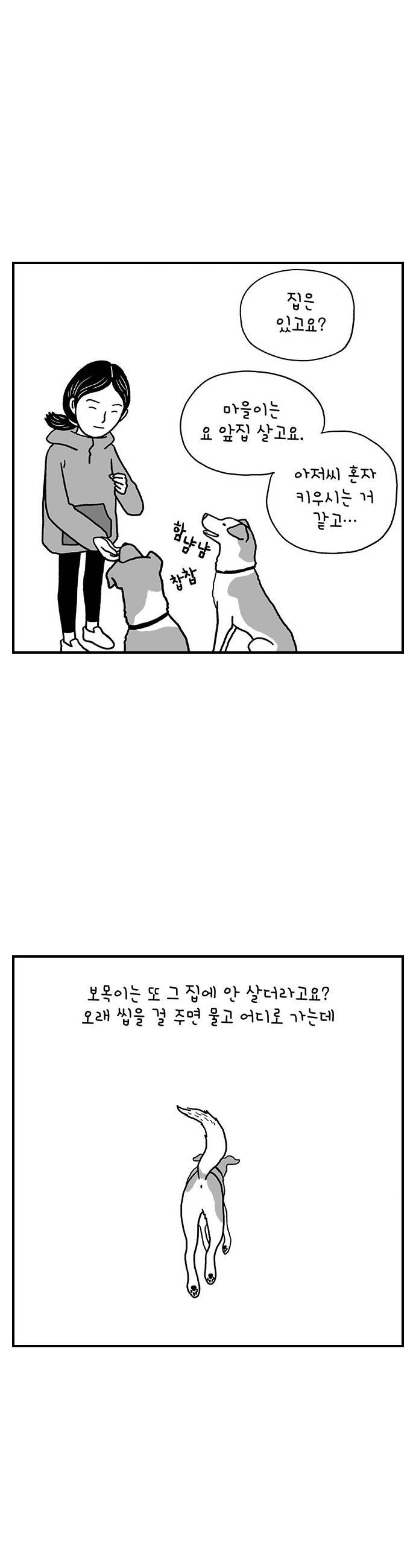008.jpg