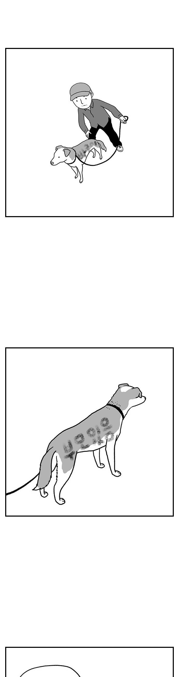 005.jpg