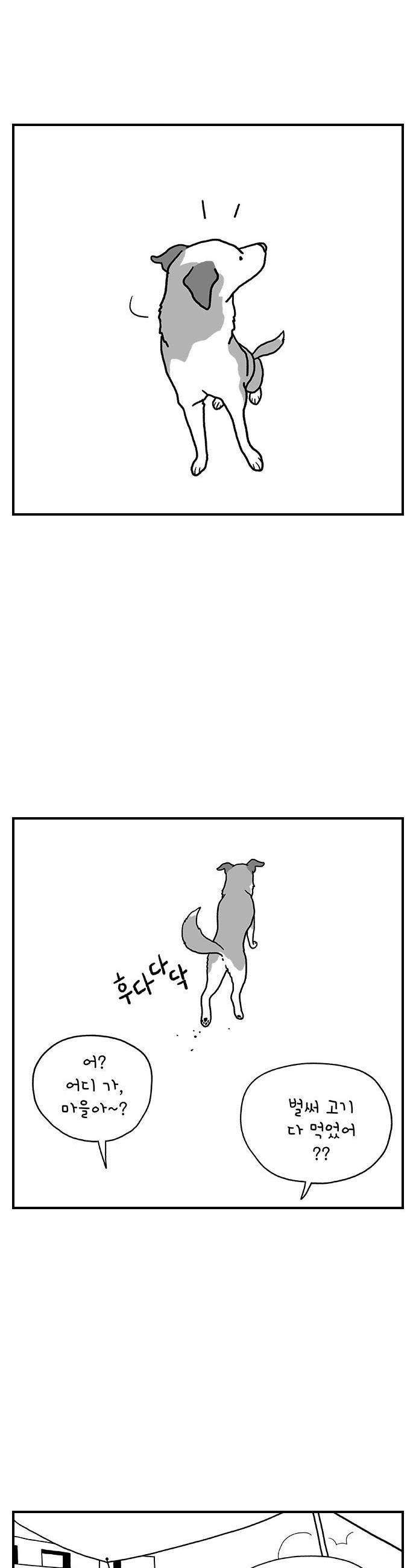 008.jpg