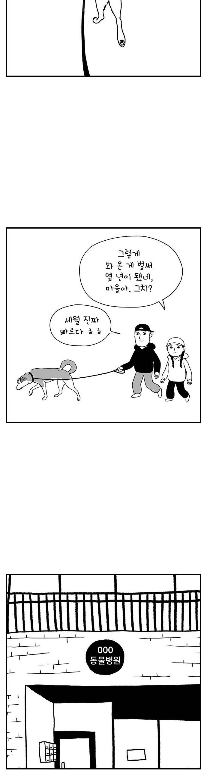 010.jpg