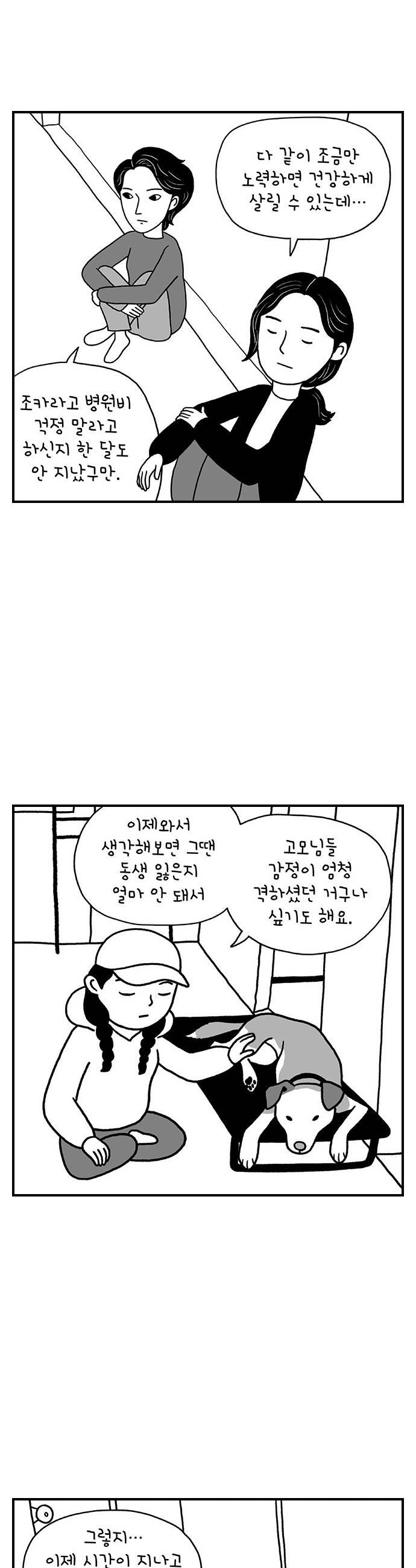 005.jpg