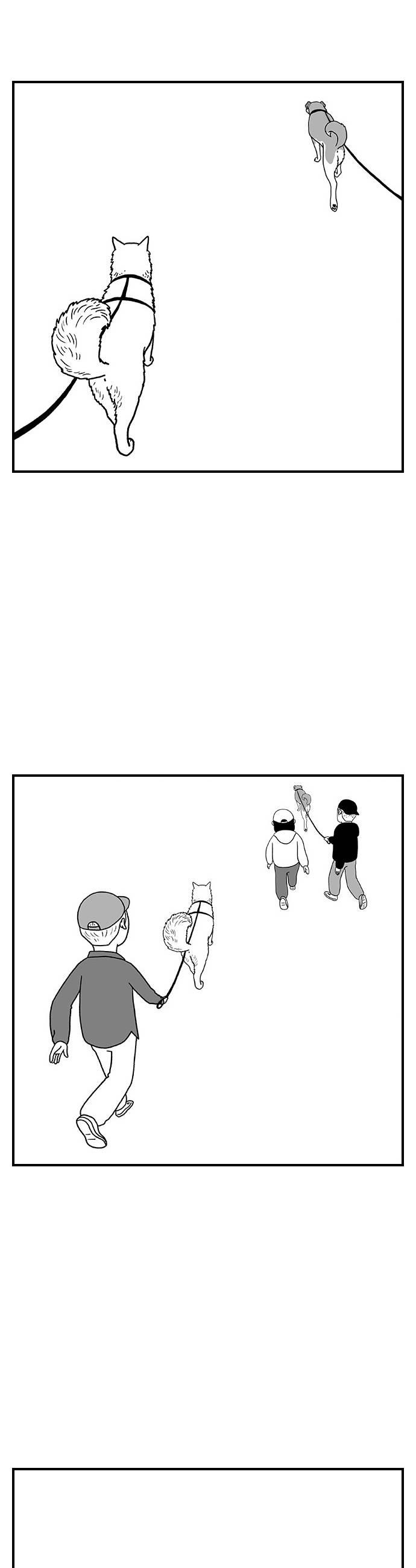 009.jpg