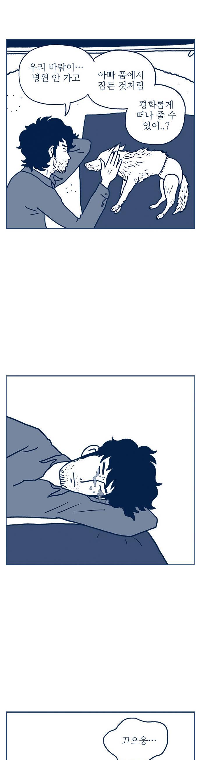 009.jpg