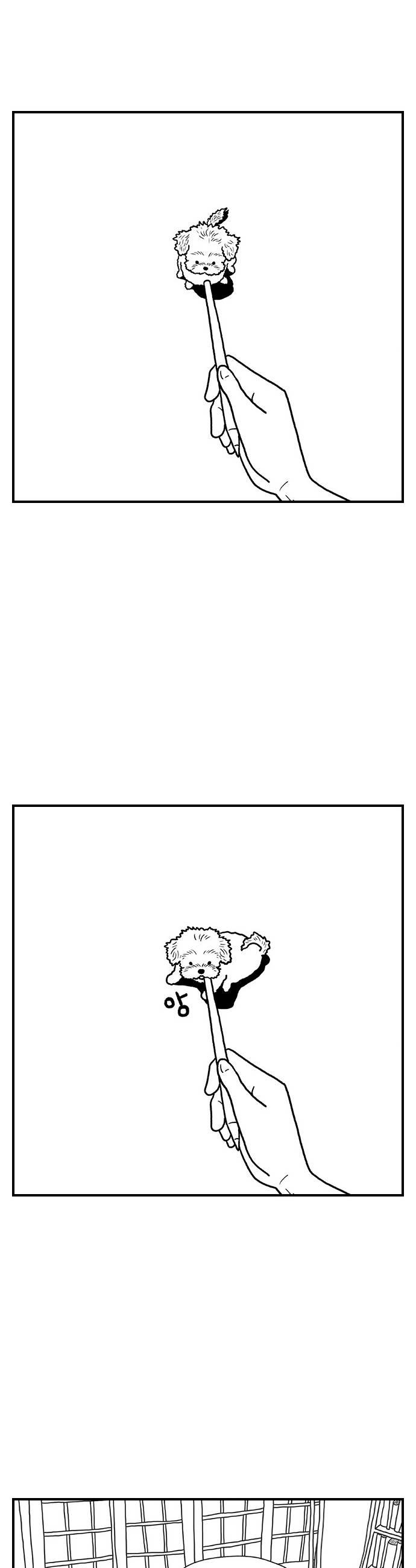 005.jpg