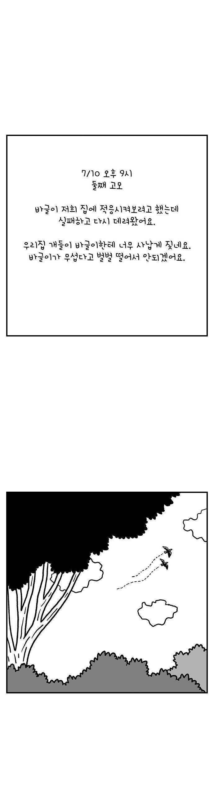 008.jpg