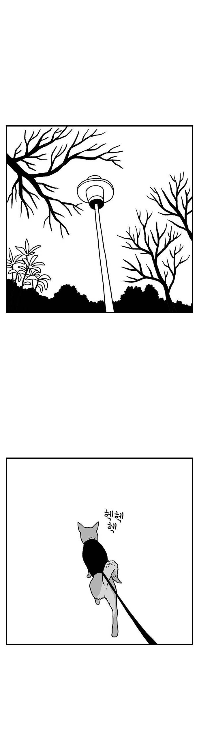 008.jpg
