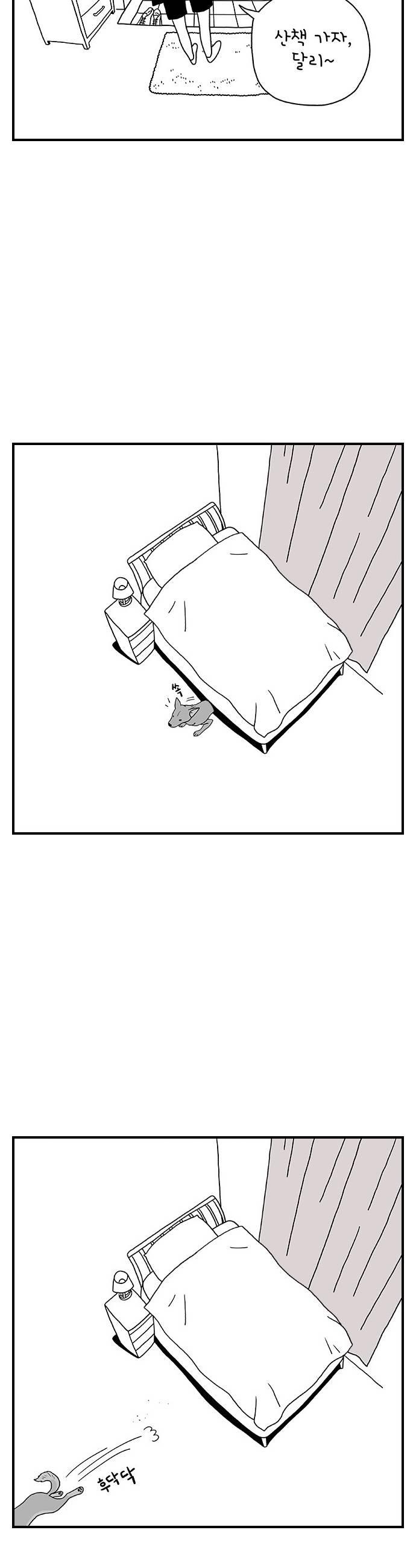 007.jpg