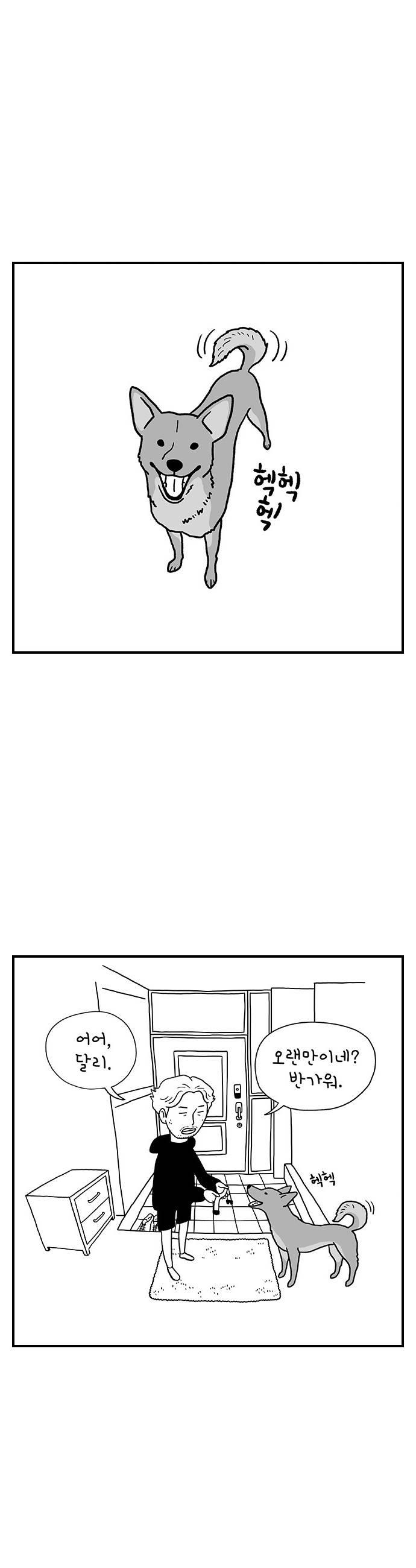 008.jpg