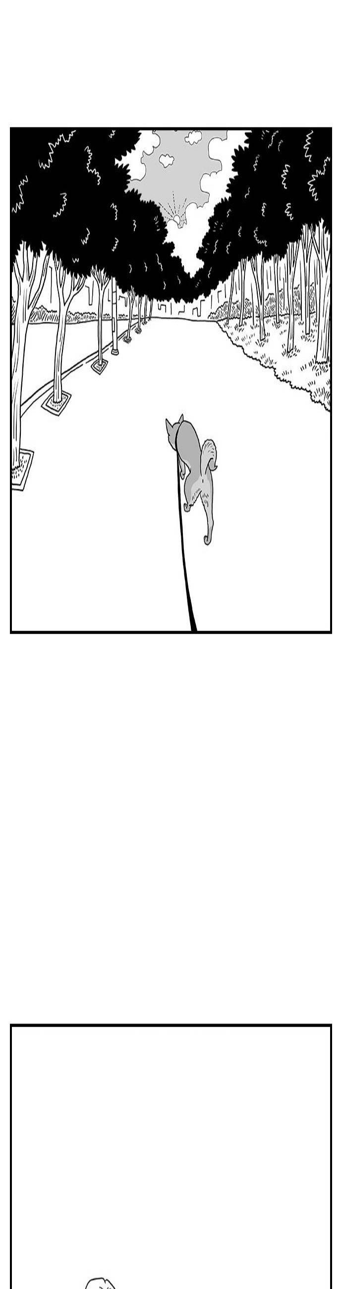 003.jpg