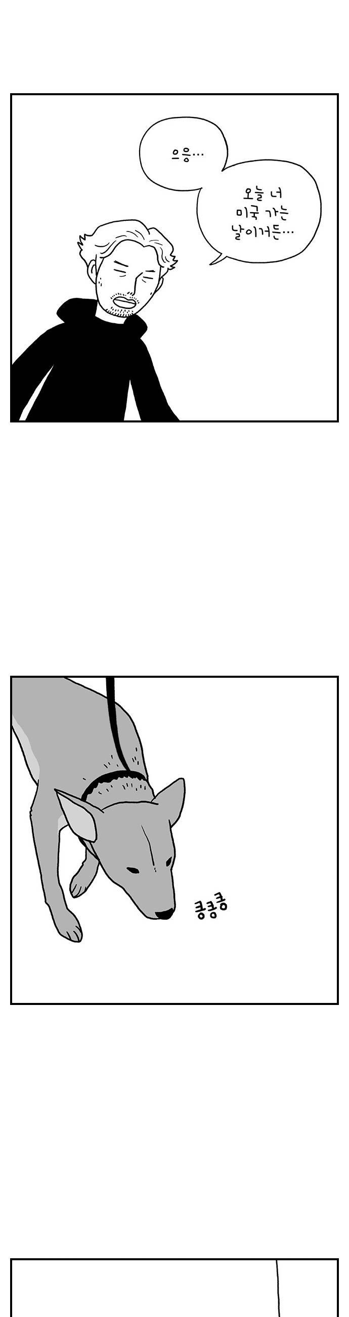 005.jpg