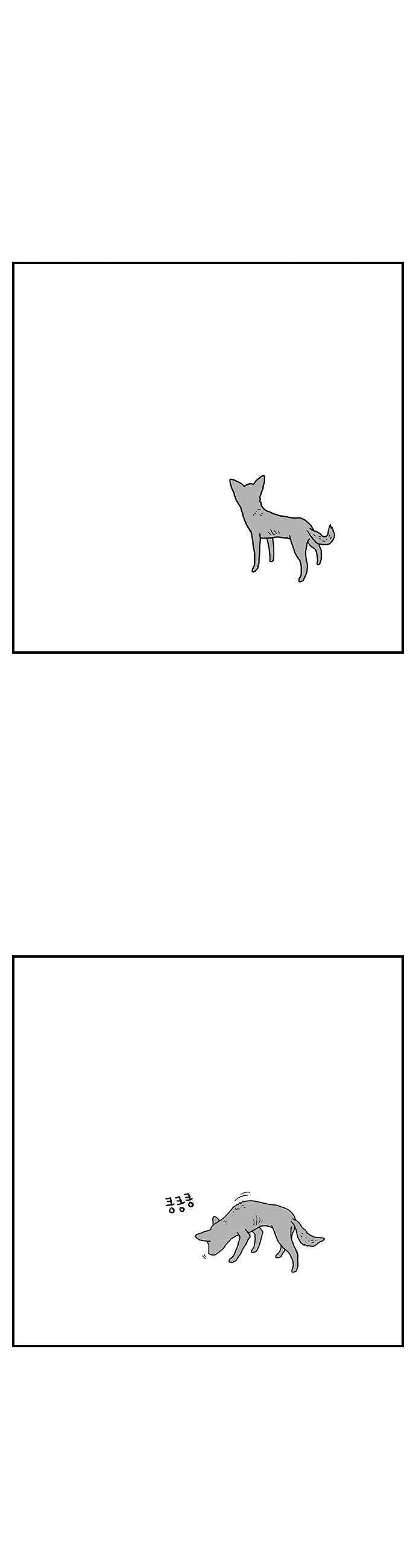 008.jpg