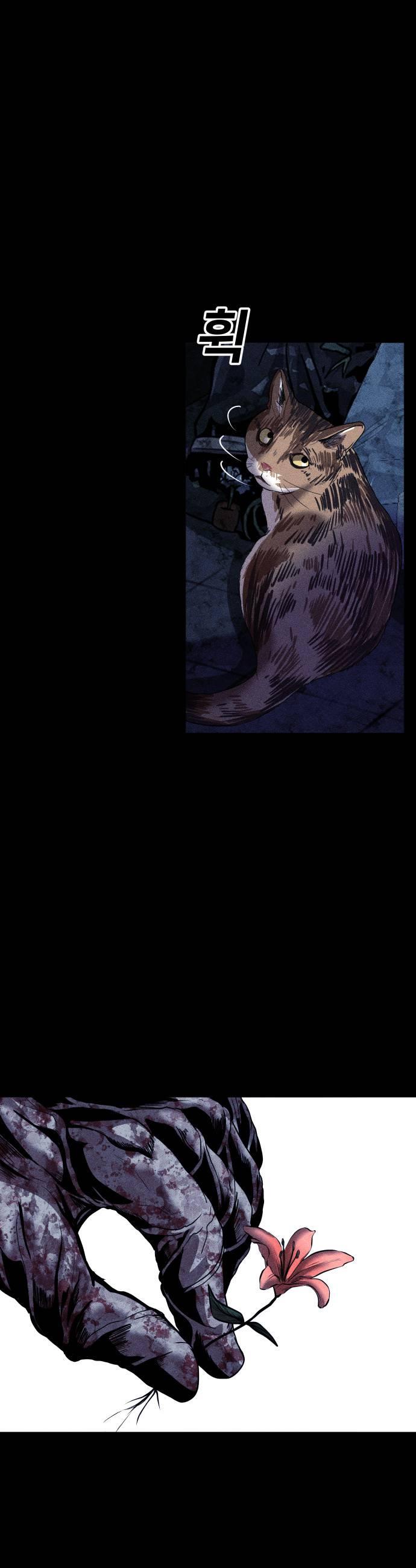 005.jpg