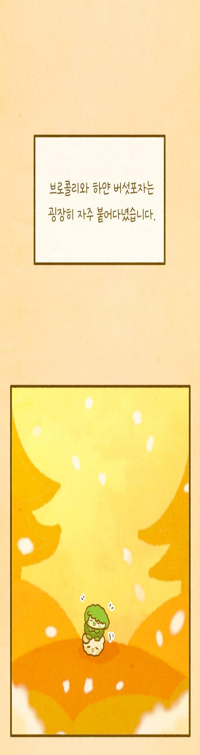 003.jpg