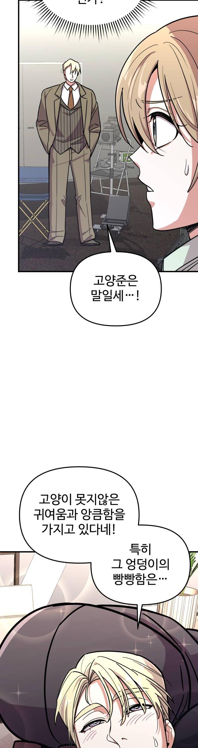 010.jpg