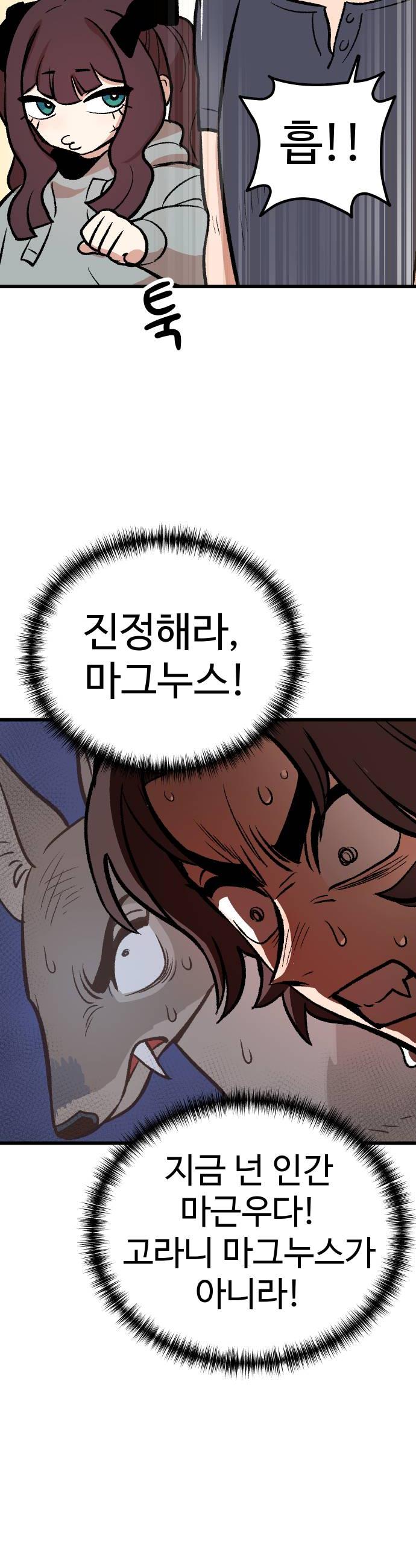 010.jpg