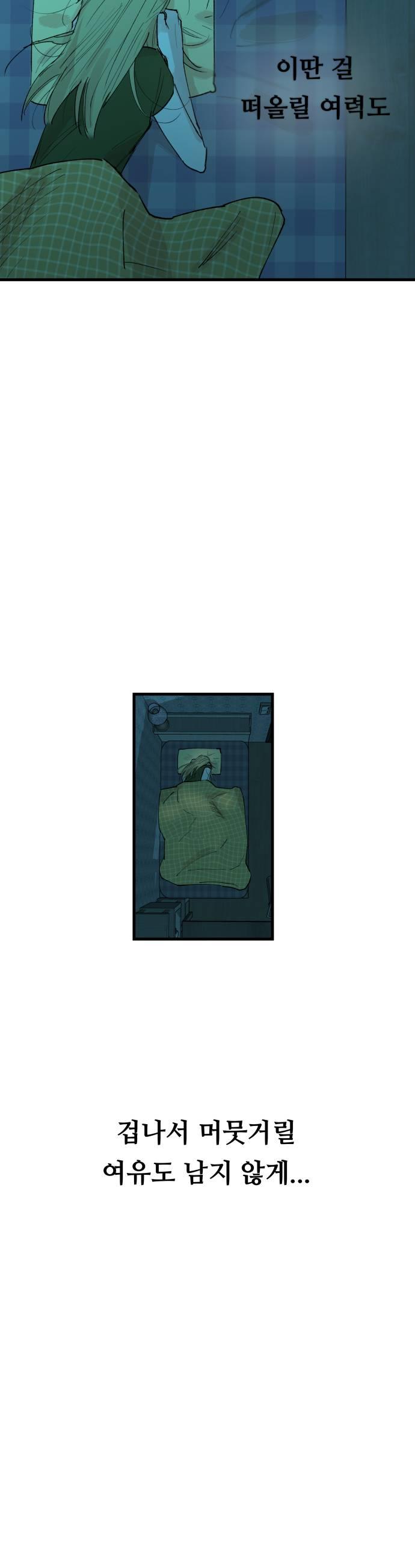 031.jpg