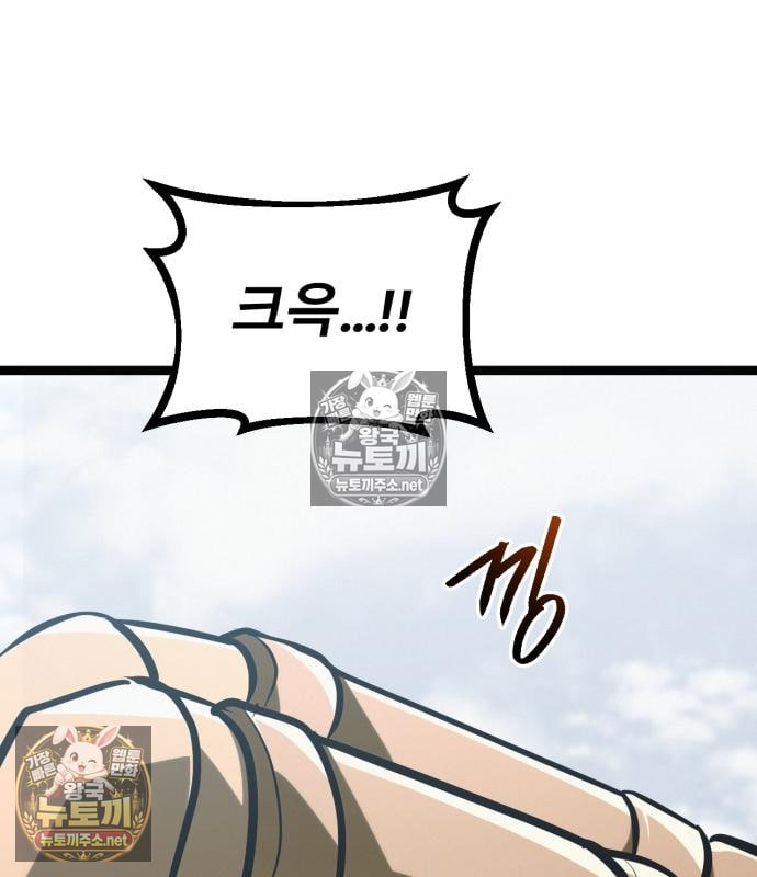 213.jpg