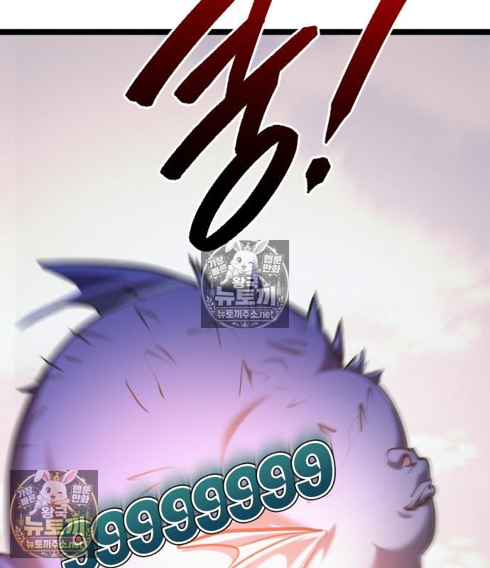 229.jpg