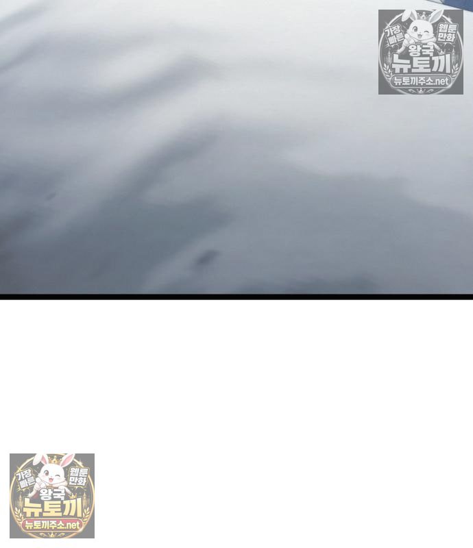 243.jpg