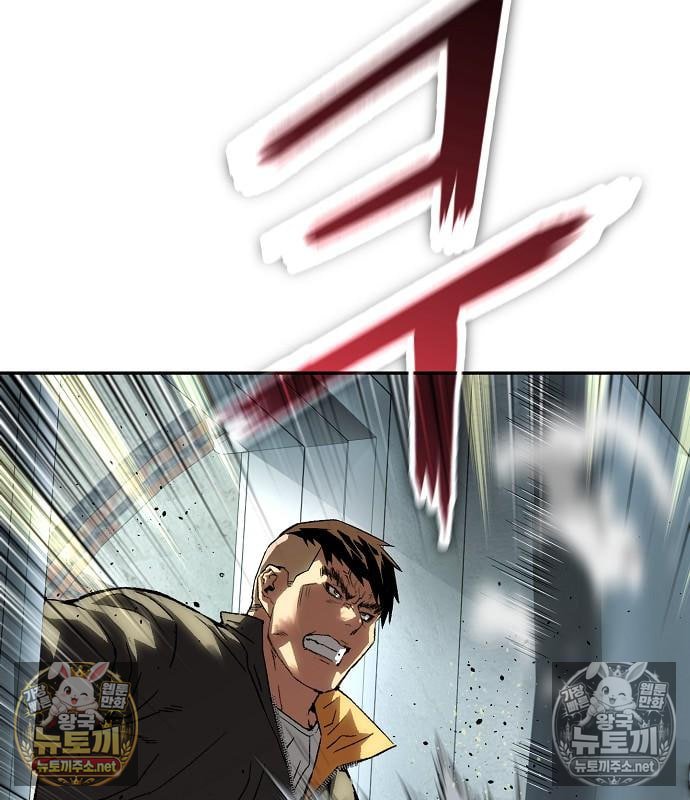 113.jpg