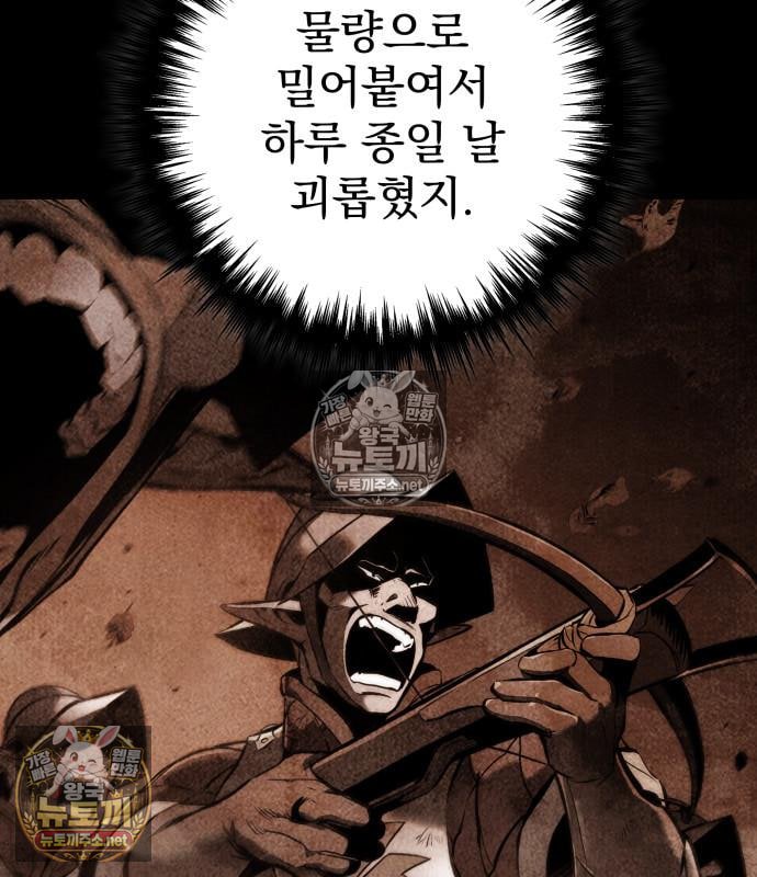 231.jpg