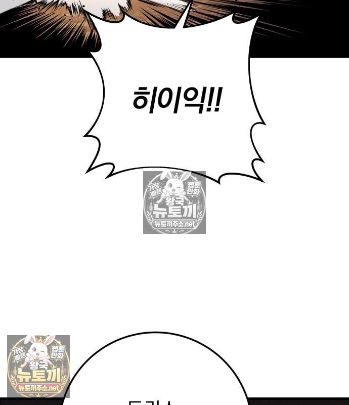 146.jpg