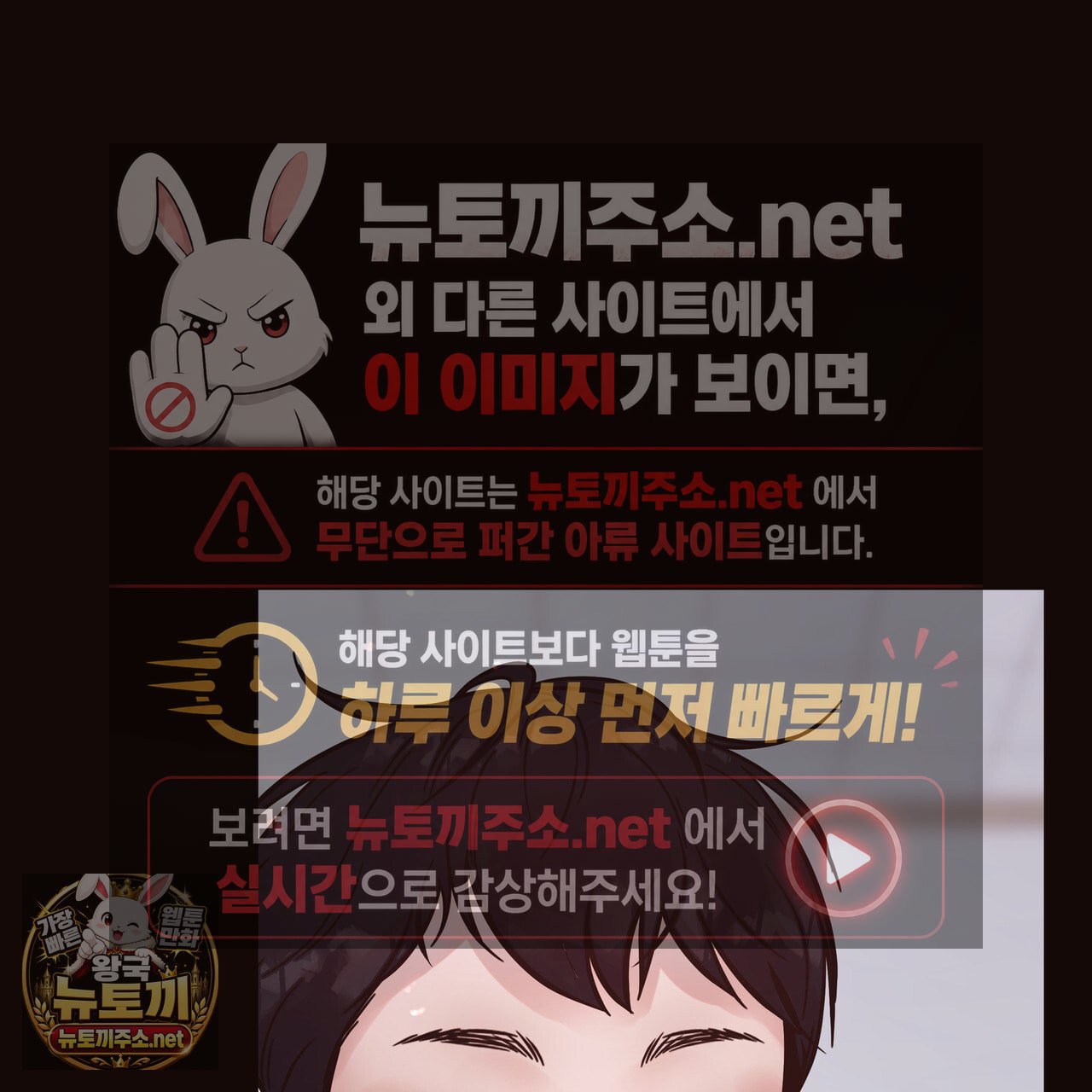 113.jpg