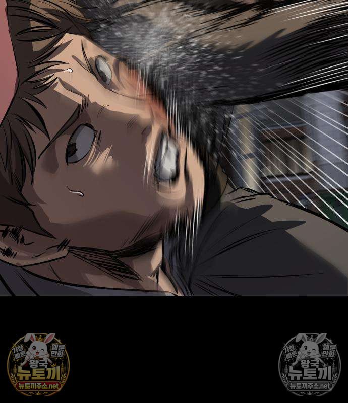 003.jpg