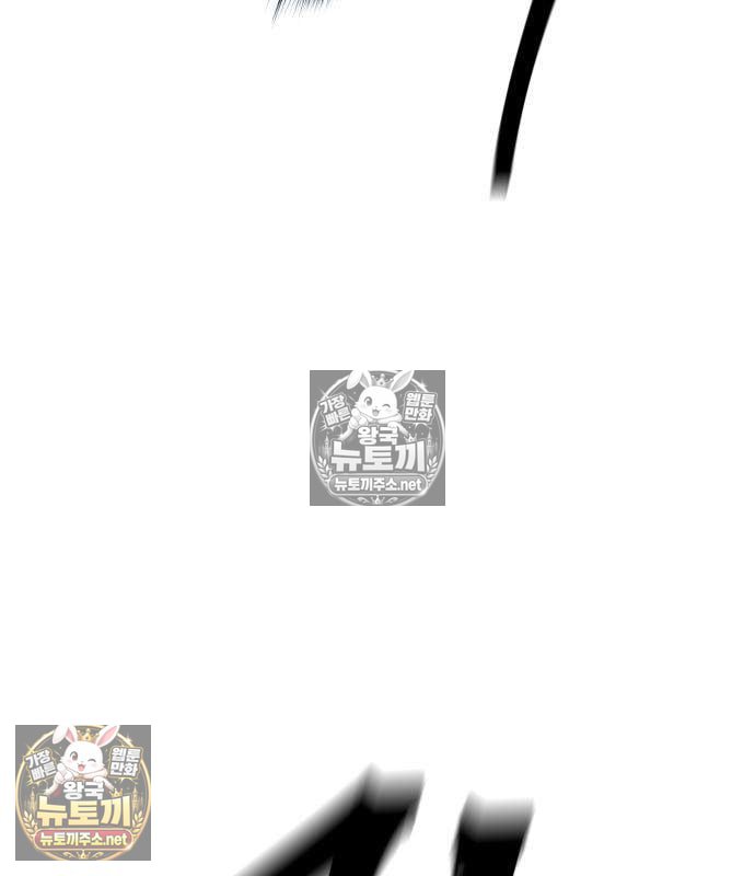 248.jpg