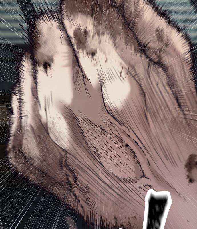 062.jpg