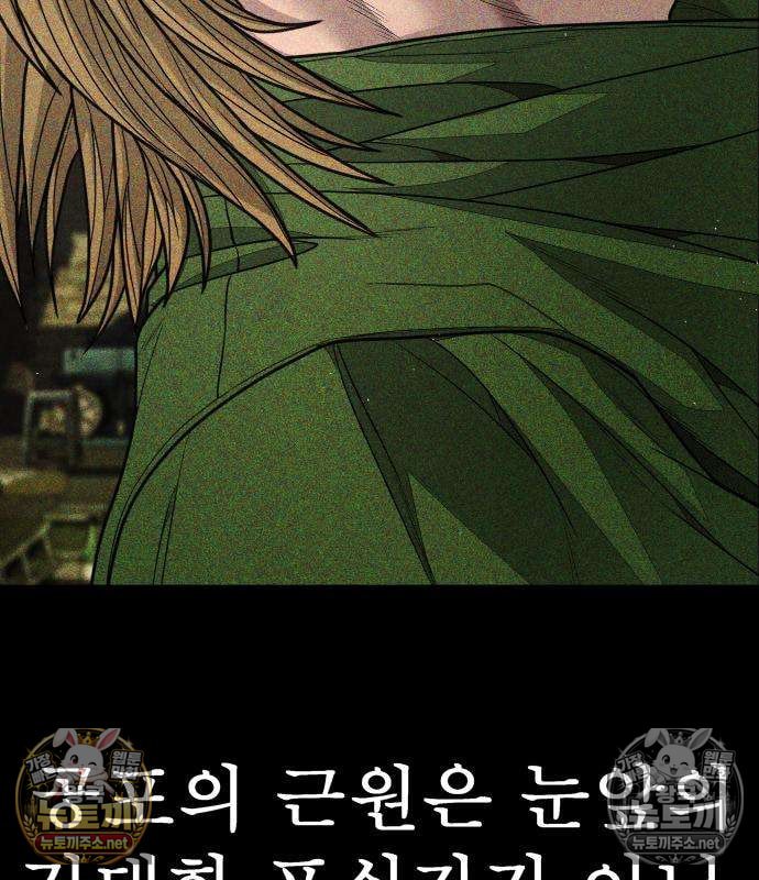 291.jpg