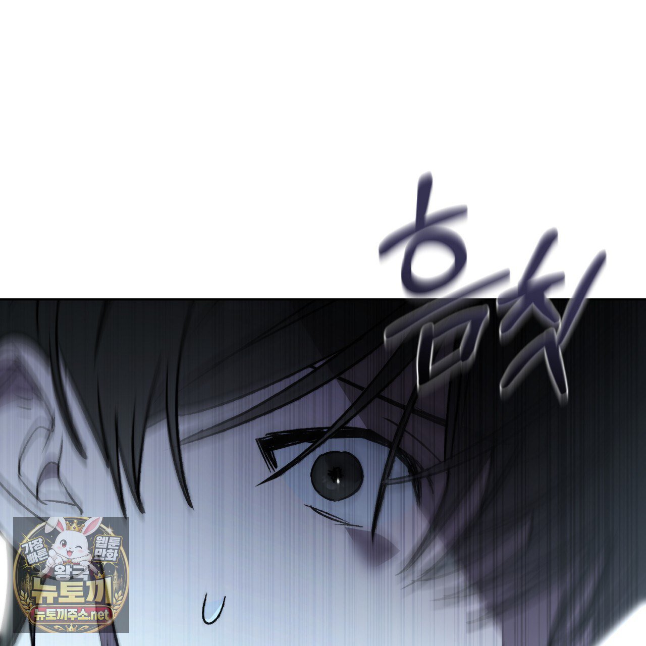 153.jpg