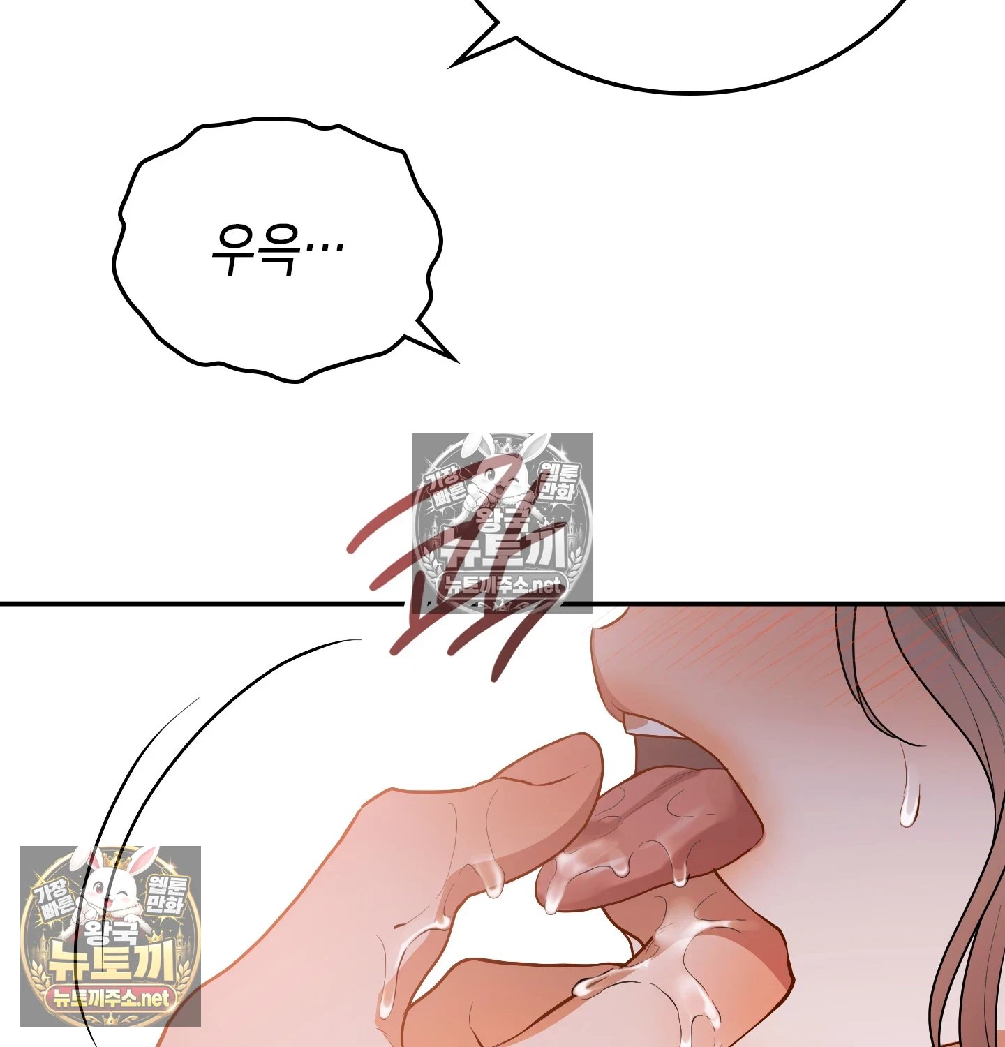 146.jpg