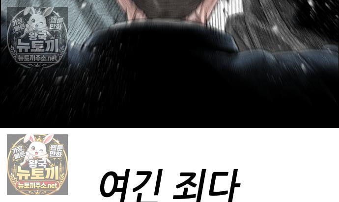 239.jpg