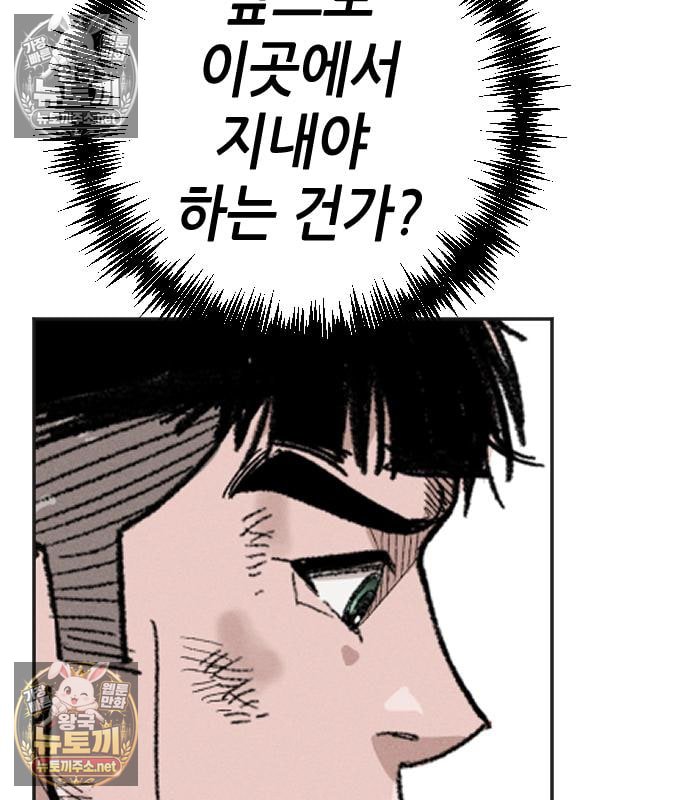 244.jpg