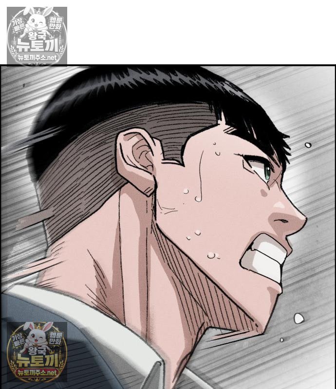 242.jpg