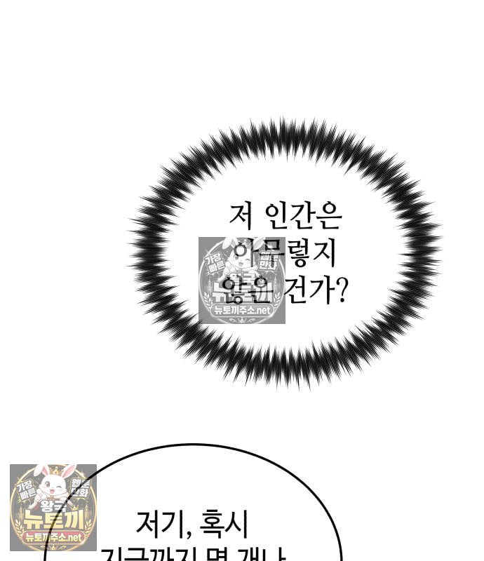 249.jpg